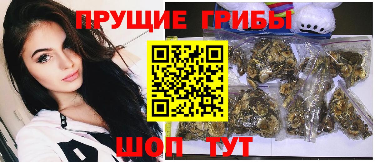 Галлюциногенные грибы MAGIC MUSHROOMS  Вход с VPN  как найти наркотики  Бутурлиновка 