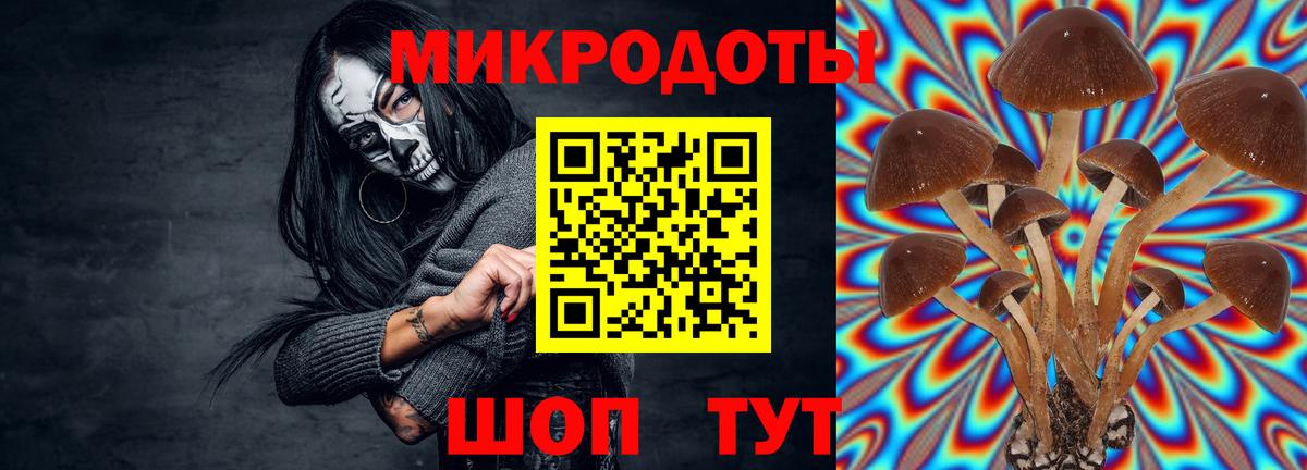 Галлюциногенные грибы Magic Shrooms Бутурлиновка